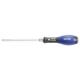 E160402 - Screwdriver for Pozidriv® screws with hex nut, PZ3