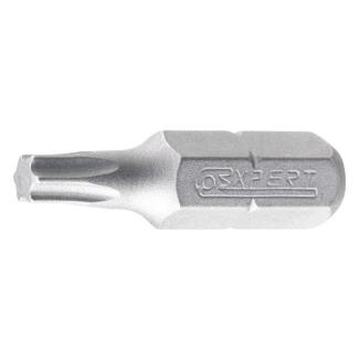 E117775 - Standard bits for Torx® screws, T10