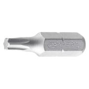 E117778 - Standard bits for Torx® screws, T25