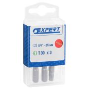 E117778 - Standard bits for Torx® screws, T25