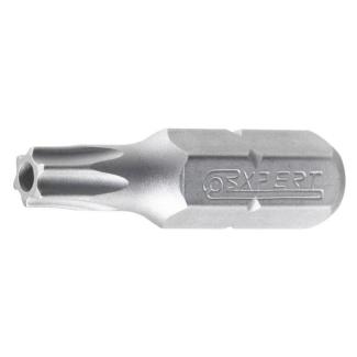 E117781 - Standard bits for Resistorx® screws, TT10