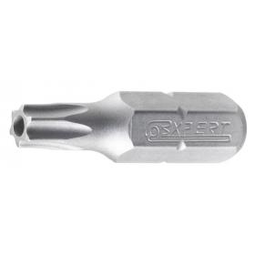 E117781 - Standard bits for Resistorx® screws, TT10